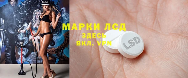 шишки Корсаков