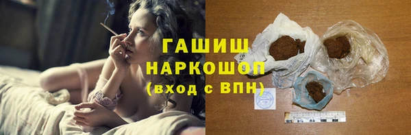 шишки Корсаков