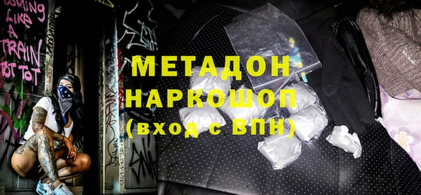 шишки Корсаков