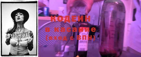 шишки Корсаков