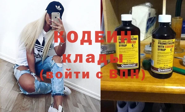 шишки Корсаков