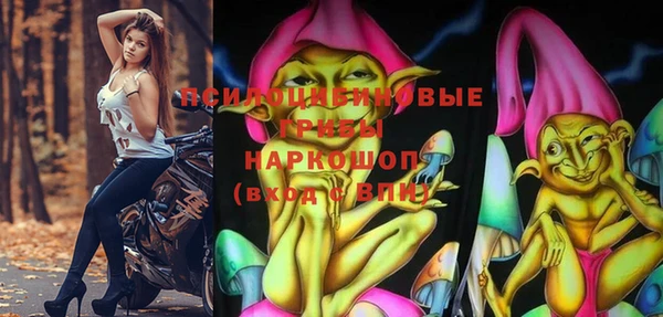 шишки Корсаков
