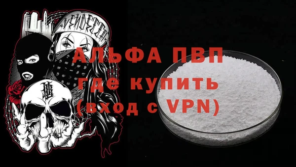 шишки Корсаков