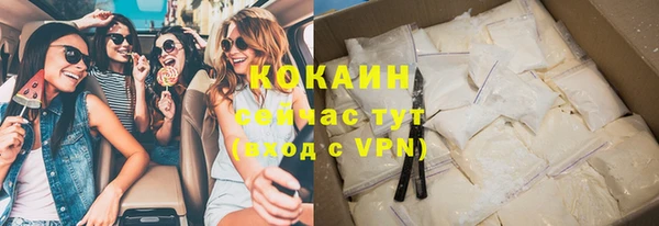 шишки Корсаков