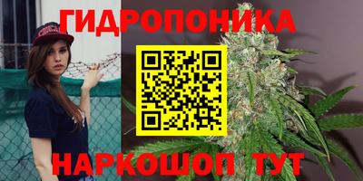 дживик Гусев