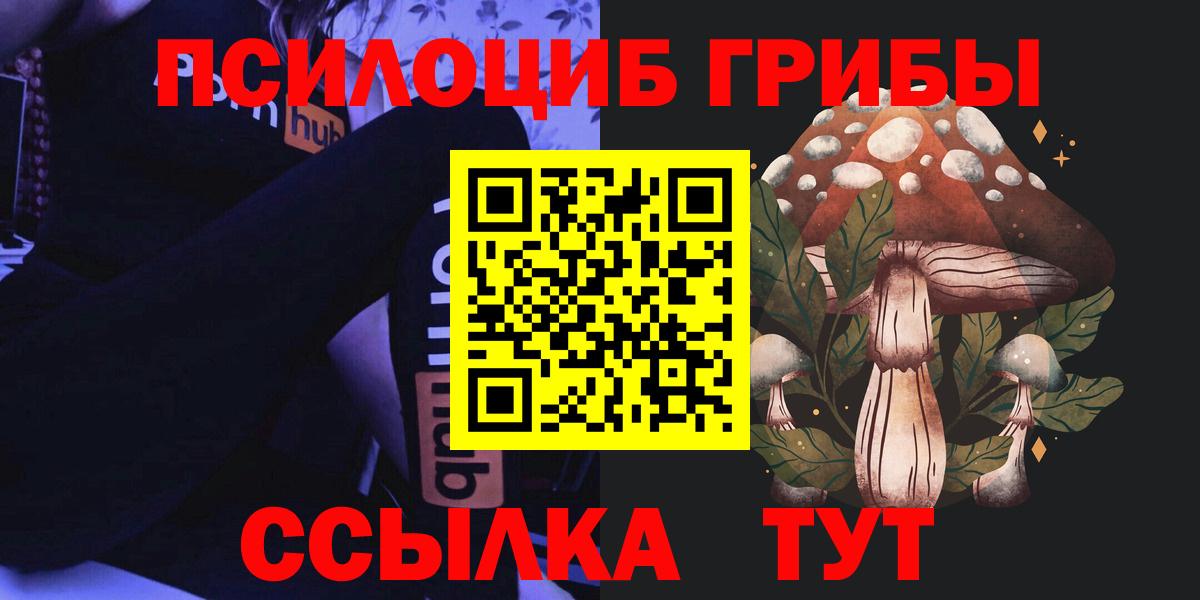 Псилоцибиновые грибы Psilocybe Миасс